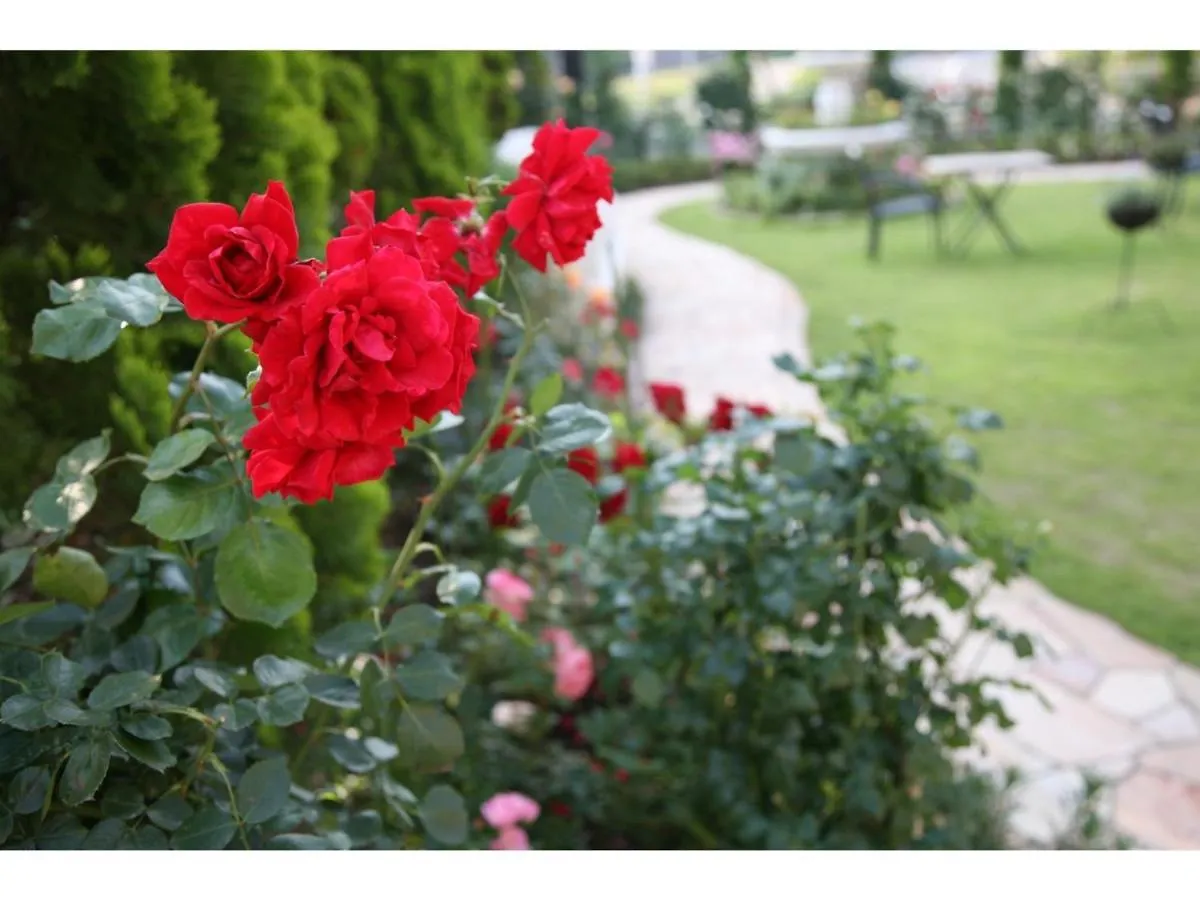 Hotel Sunlife Garden - Vacation Stay 55392V Hiratsuka 0*,